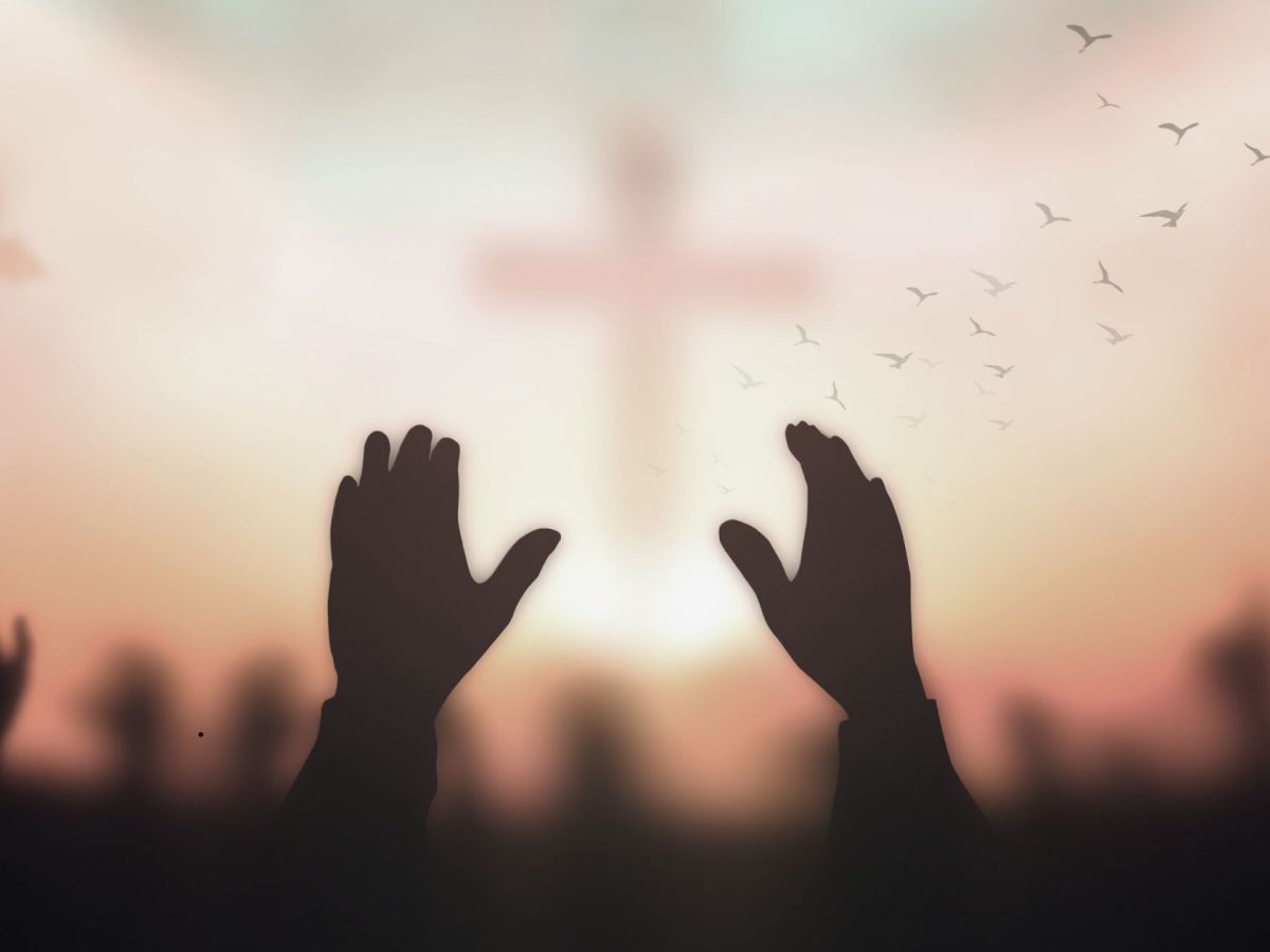 The Myth of Control: A Midlife Sojourn Into&nbsp;Surrender