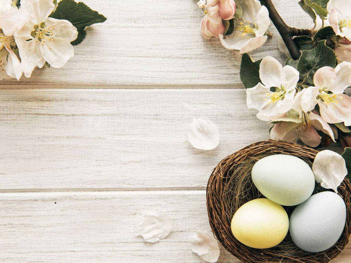 Easter Sunday: HE IS&nbsp;RISEN!